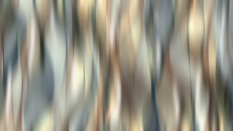 nivitalandscape2