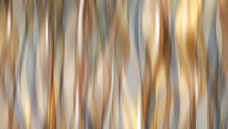nivitalandscape8